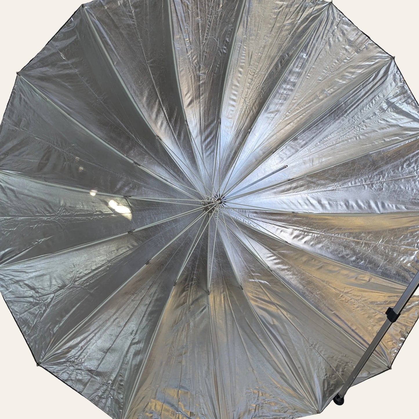 wescott severn foot studio umbrella