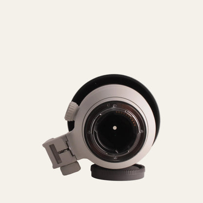 Sony FE 100–400mm f/4.5–5.6 GM OSS Lens