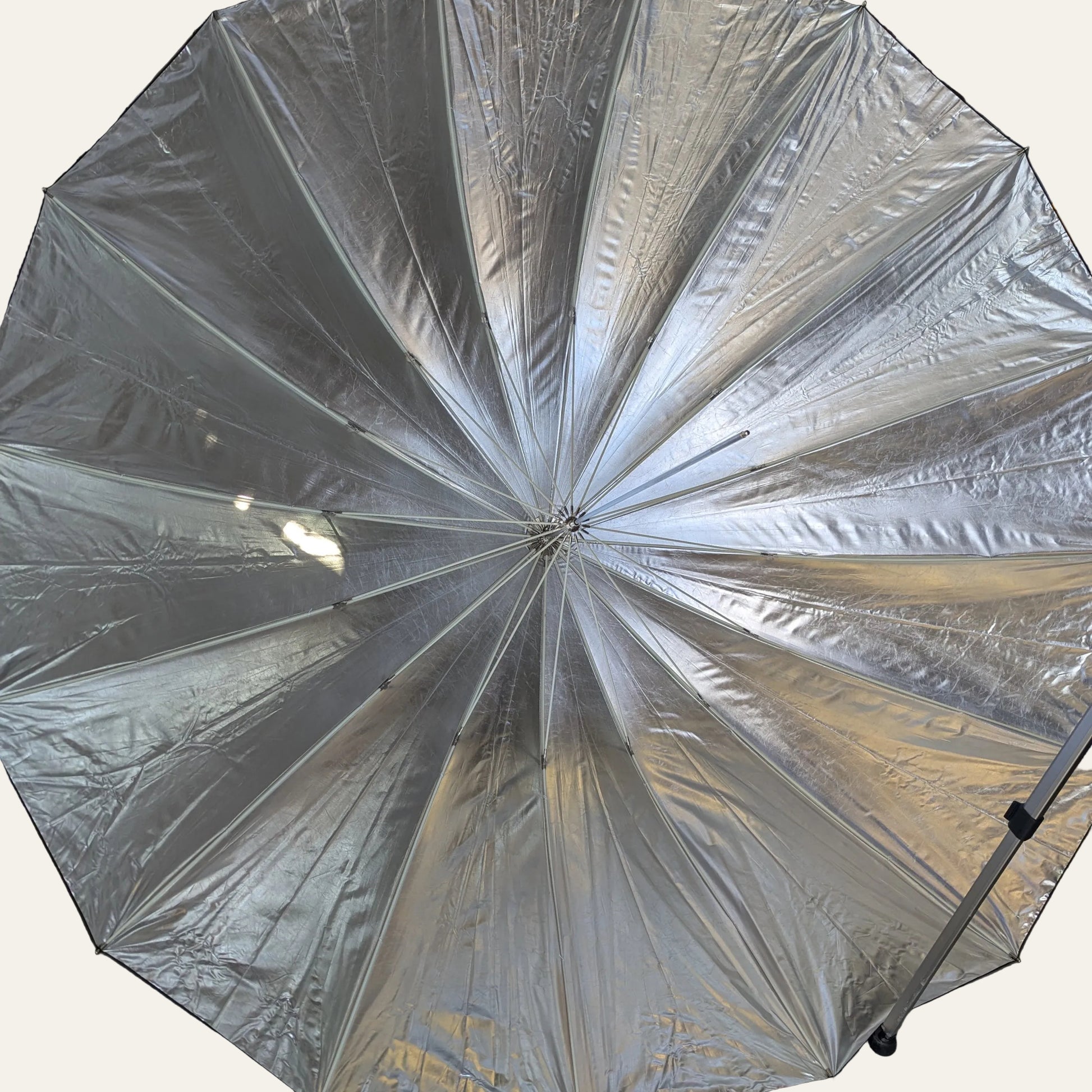 wescott severn foot studio umbrella