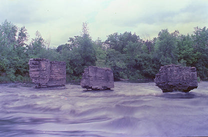 Captureel Whimsiant (2242) 35mm colour film